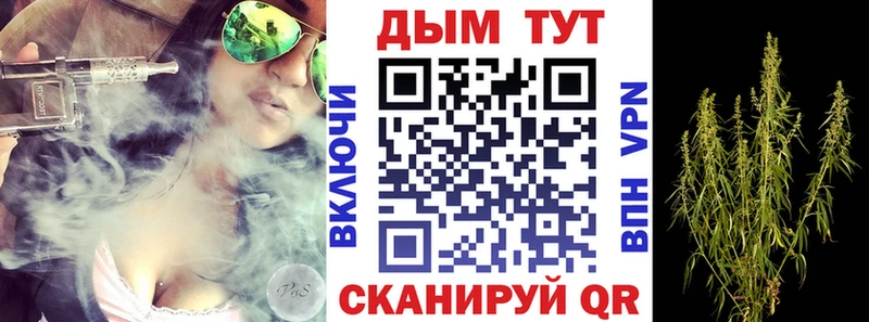 Канабис марихуана  блэк спрут сайт  Ачхой-Мартан 